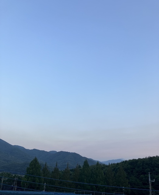 IMG_2726.jpeg